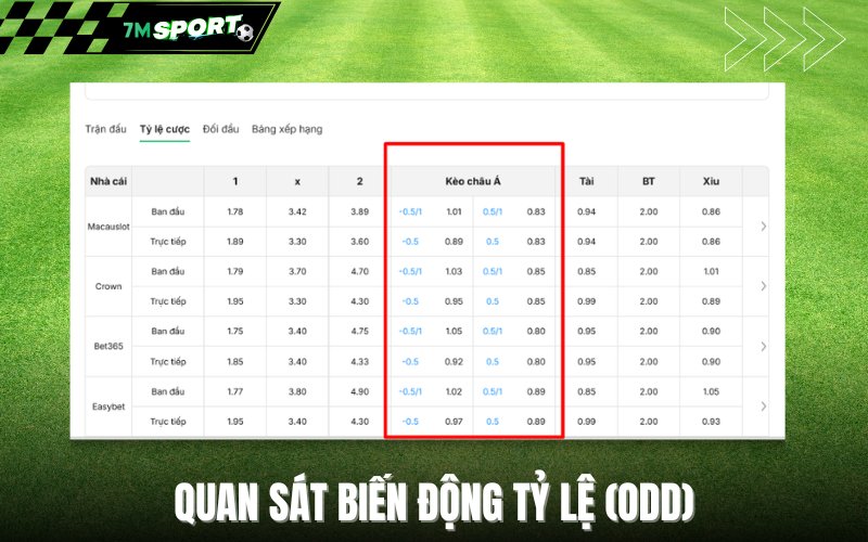 Quan sát biến động tỷ lệ (Odd)
